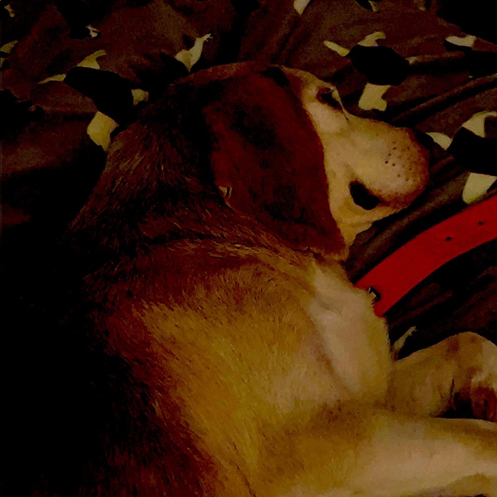 ✨FREE,FREE,FREE ITEMS WITH $75 or more purchases✨